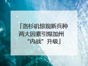 洛杉矶惊现新兵种 两大因素引爆加州“内战”升级